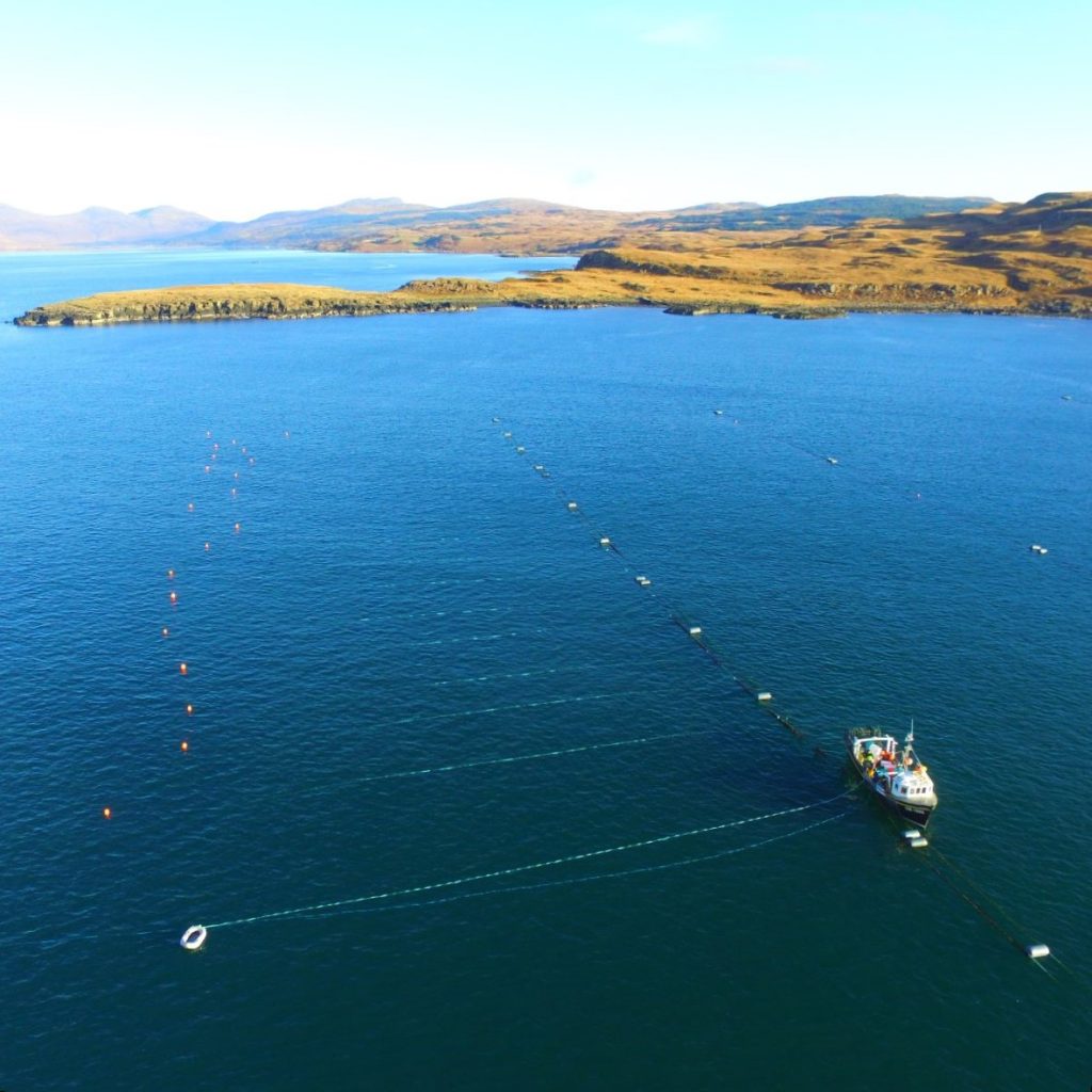 Seaweed Farm Line Deployment